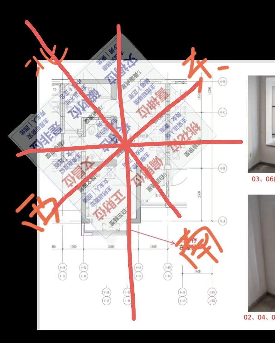 2025���������ع�