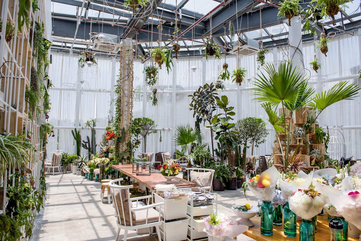 ���� ���в���/1396�O/������