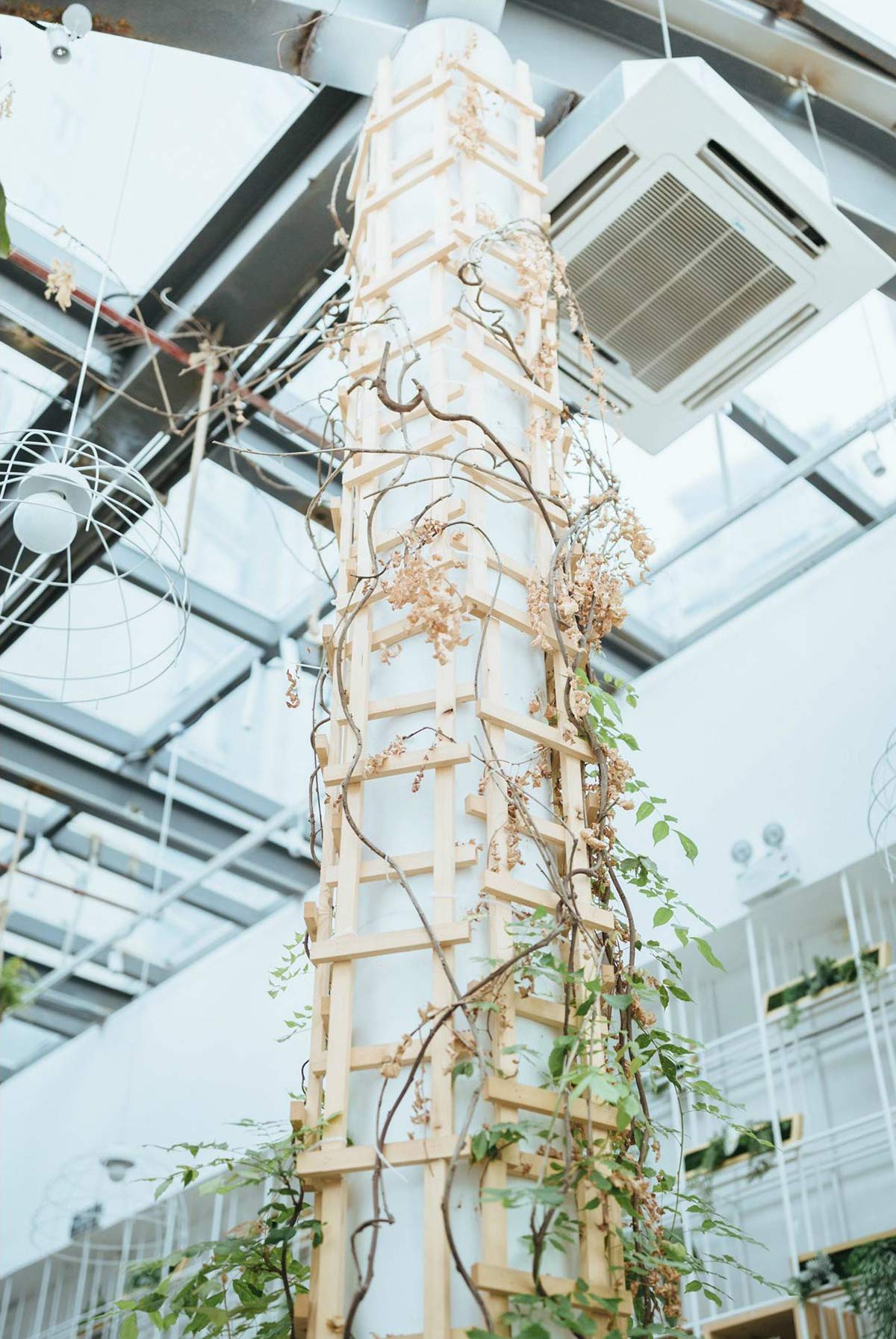 ���� ���в���/1396�O/������