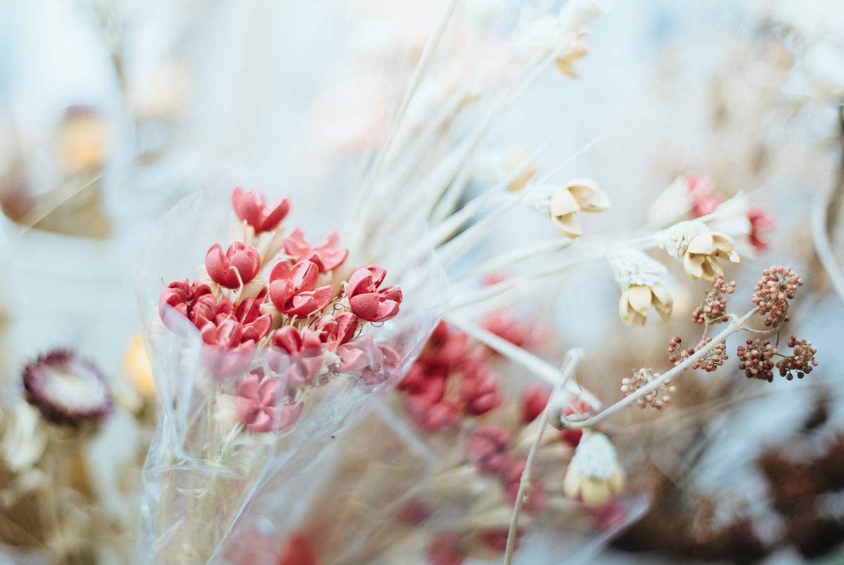 ���� ���в���/1396�O/������