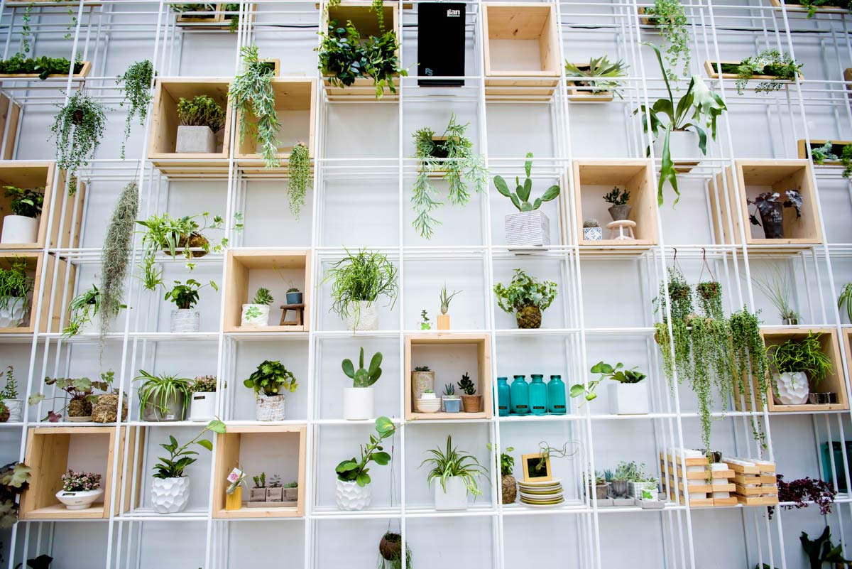 ���� ���в���/1396�O/������